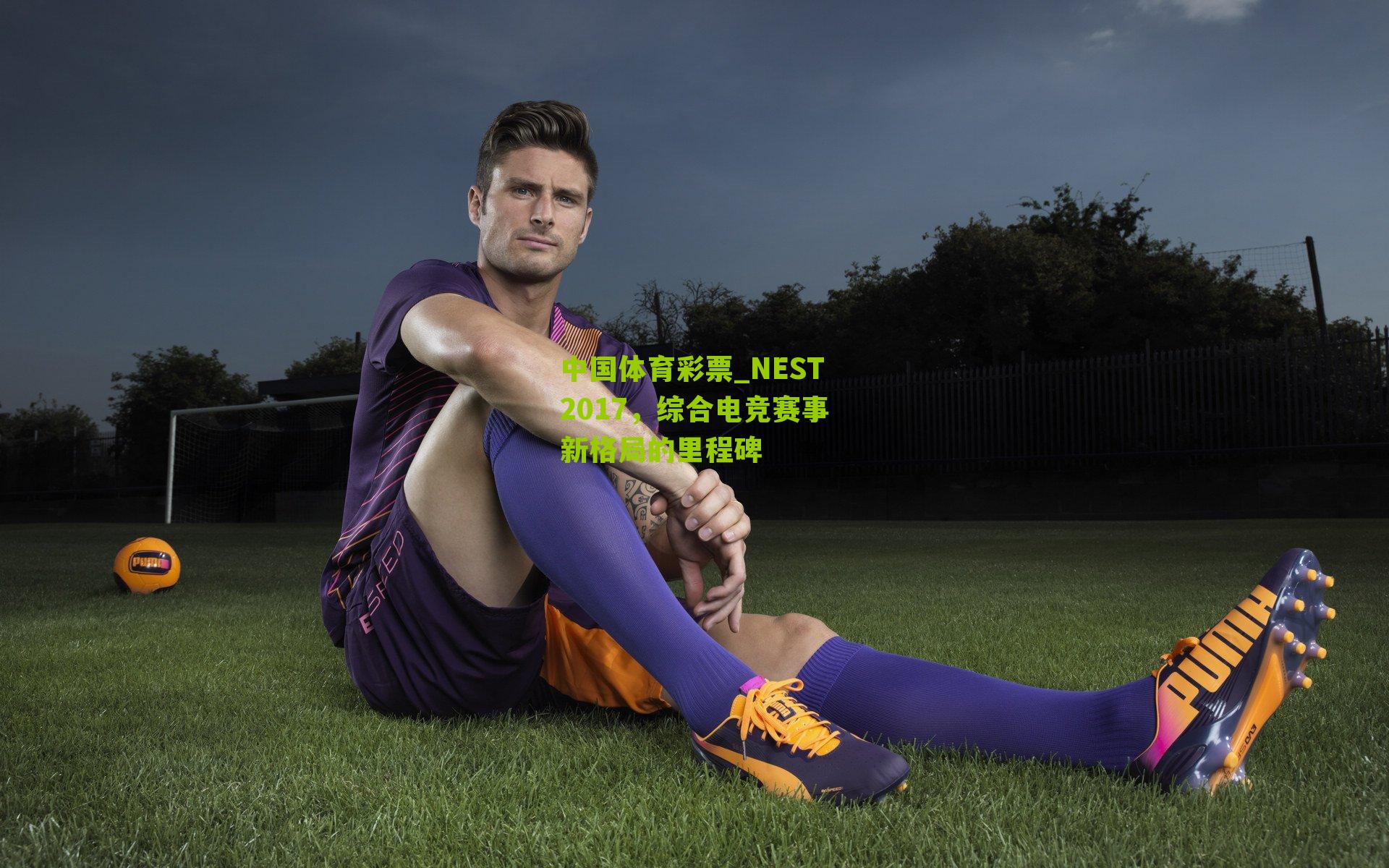 NEST2017，综合电竞赛事新格局的里程碑