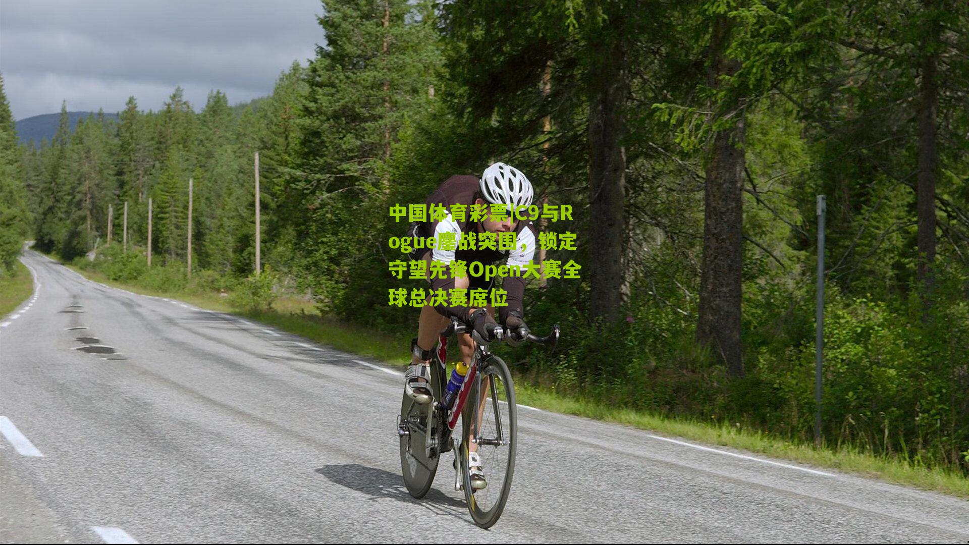 C9与Rogue鏖战突围，锁定守望先锋Open大赛全球总决赛席位